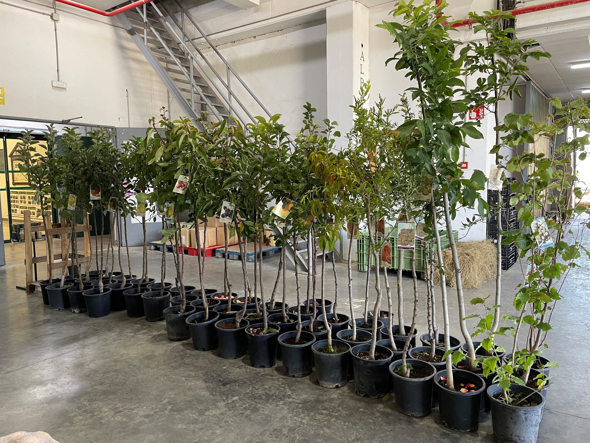 482322788 1147816153800874 5069484056175922980 n